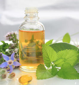 Profile picture for Eva Cahill Reg. Naturopath & Medical Herbalist 