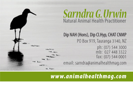 Profile picture for Sarndra Urwin