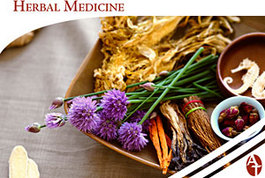 Profile picture for Natural Chinese Medical Centre