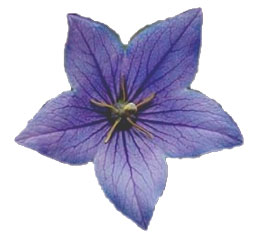 Profile picture for Natures Way Healing