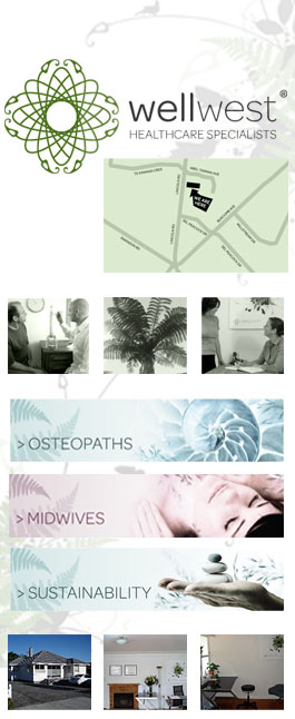 Profile picture for Wellwest Osteopaths