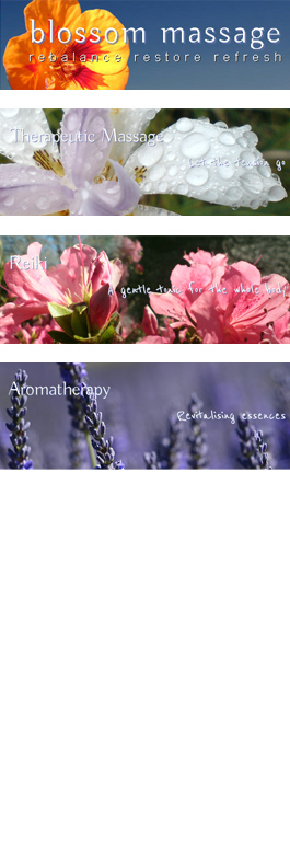 Profile picture for Blossom Massage