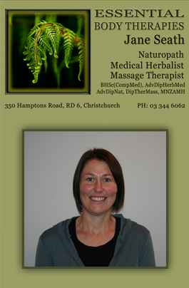 Profile picture for Essential Body Therapies