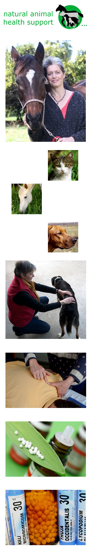 Profile picture for Bowen Therapy for People & Pets / Animal Homeopathy