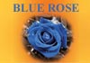 Click for more details about Blue Rose