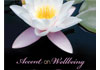 Click for more details about Accent On Wellbeing