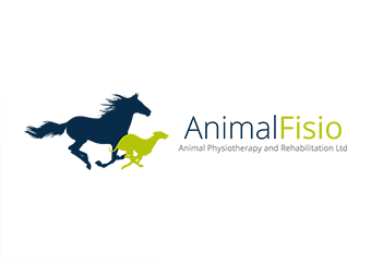 Click for more details about Animal Physiotherapy & Rehabilitation