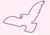 Click for more details about Quantum Health Massage
