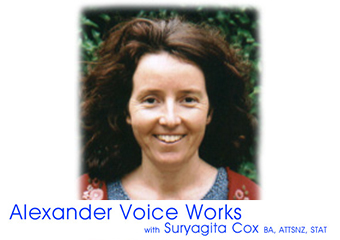 Thumbnail picture for Alexander Voice Works