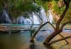 Click for more details about Harmonious Health