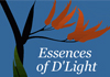 Thumbnail picture for Essences of D'Light