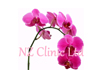 Click for more details about NZ Clinic