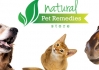 Click for more details about Kiwikitz Natural Products & NZ Native Plant Remedies