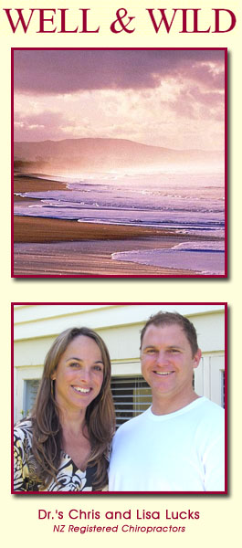 Profile picture for WELL & WILD Chiropractors