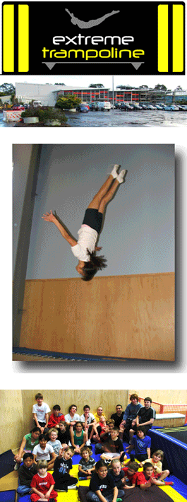 Profile picture for Extreme Trampoline