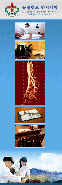 Profile picture for TCM (Traditional Chinese Medicine) College of New Zealand