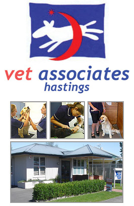 Profile picture for Vet Associates Hastings Ltd