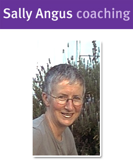 Profile picture for Sally Angus Pinpoint Ltd