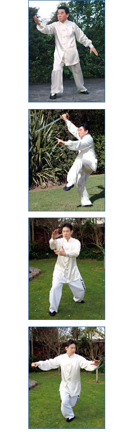 Profile picture for Sing Ong Tai Chi - Avondale Branch