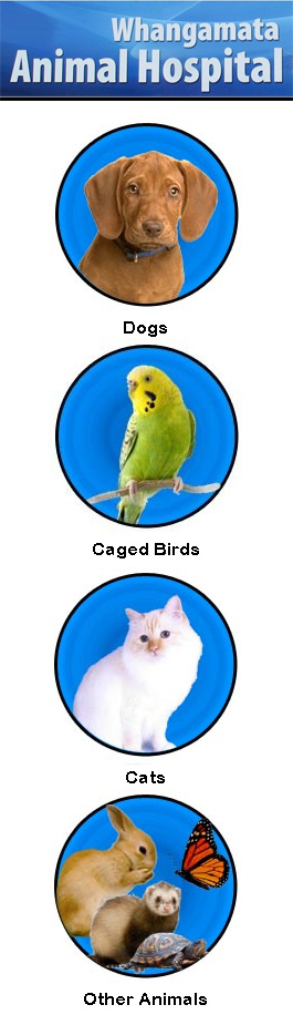 Profile picture for Whangamata Vet Hospital