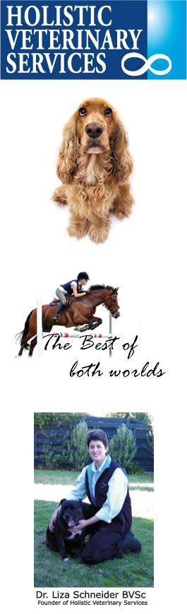 Profile picture for Holistic Veterinary Services