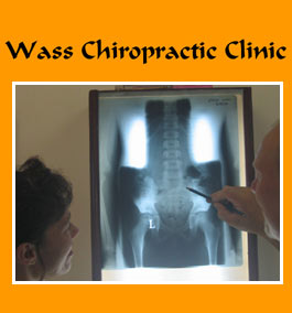 Profile picture for Wass Chiropractic Clinic