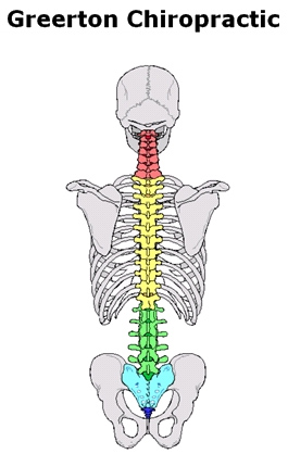 Profile picture for Greerton Chiropractic