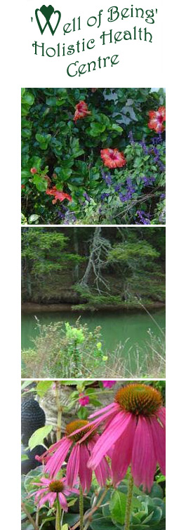 Profile picture for Well of Being Holistic Health Centre