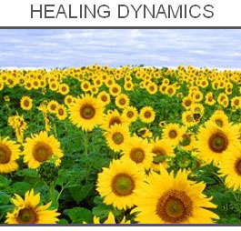 Profile picture for Healing Dynamics