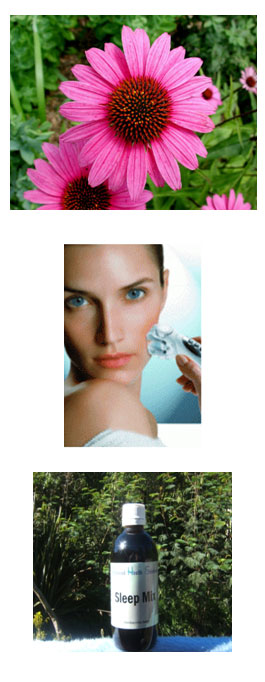 Profile picture for Health Link