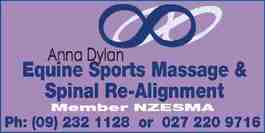 Profile picture for Equine Sports Massage & Spinal Re Alignment