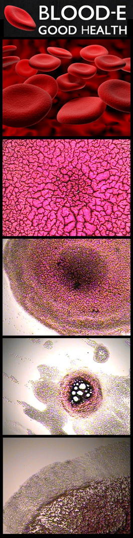 Profile picture for Nutritional Microscopy - Live/Dry Blood Analysis