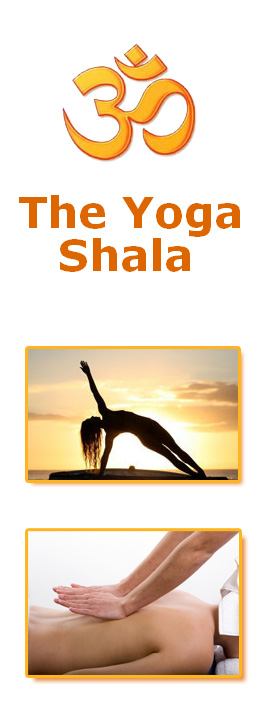 Profile picture for The Yoga Shala