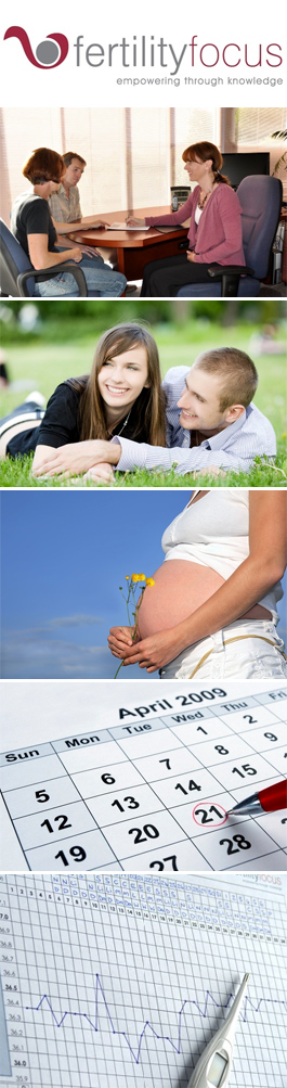 Profile picture for Fertility Focus