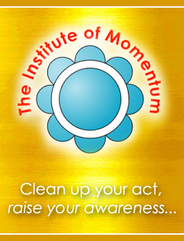 Profile picture for The Institute of Momentum