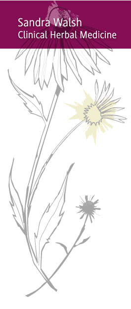 Profile picture for Heathcote Valley Herbal Medicine