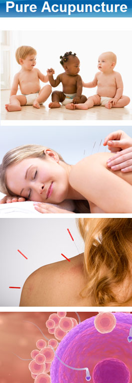 Profile picture for Pure Acupuncture