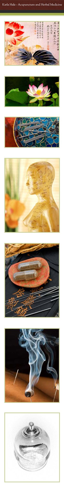 Profile picture for Karla Hale Acupuncture and Herbal Medicine