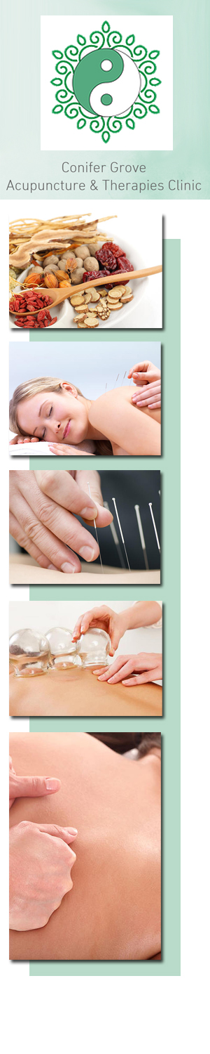 Profile picture for Conifer Grove Acupuncture and Therapies Clinic