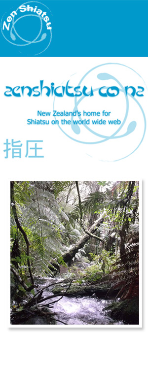 Profile picture for Shiatsu Practitioners Association of Aotearoa (NZ) Inc