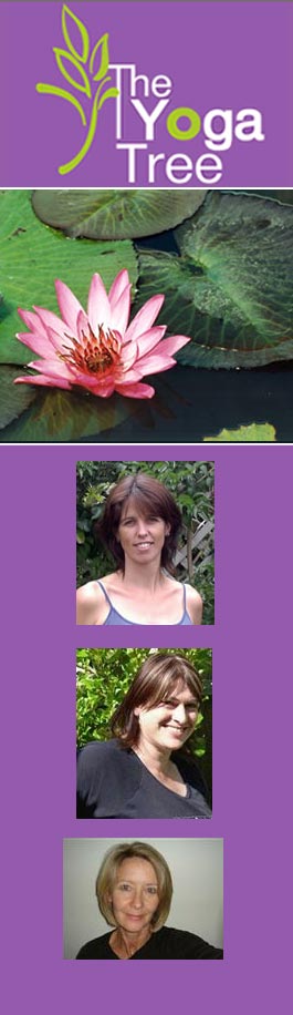 Profile picture for THE YOGA TREE
