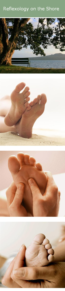 Profile picture for Shore Reflexology