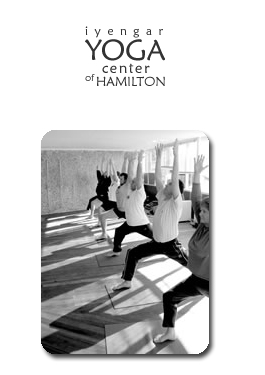 Profile picture for Iyengar Yoga Centre of Hamilton