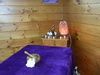 Thumbnail picture for Teresa Saunders
