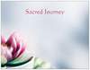Thumbnail picture for Sacred Journey - Empowering you on your own Sacred Journey.