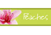 Thumbnail picture for Peaches Appearance Medicine, Skin & Body Clinic
