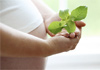 Thumbnail picture for Fertility Focus