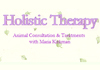 Thumbnail picture for The Holistic Therapist