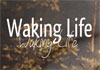 Thumbnail picture for Waking Life