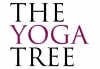 Thumbnail picture for THE YOGA TREE